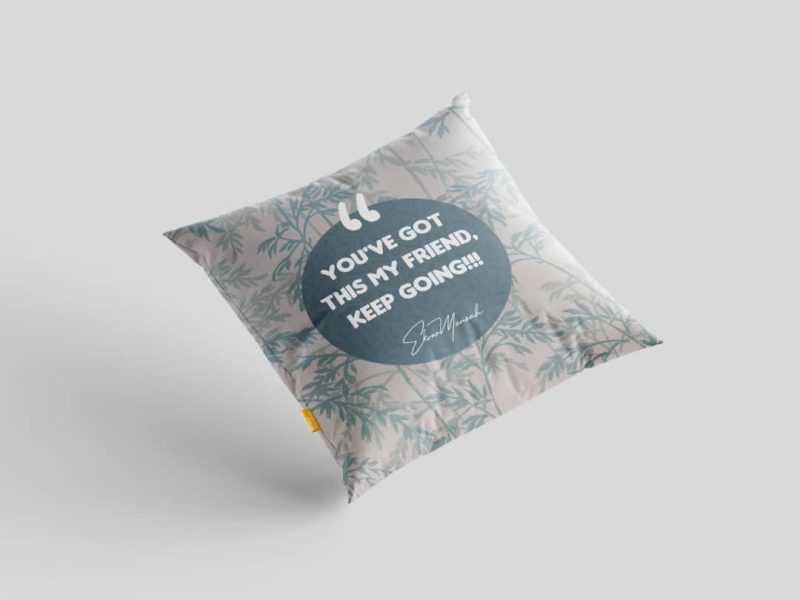 You've Got This! - Empowering Throw Pillows